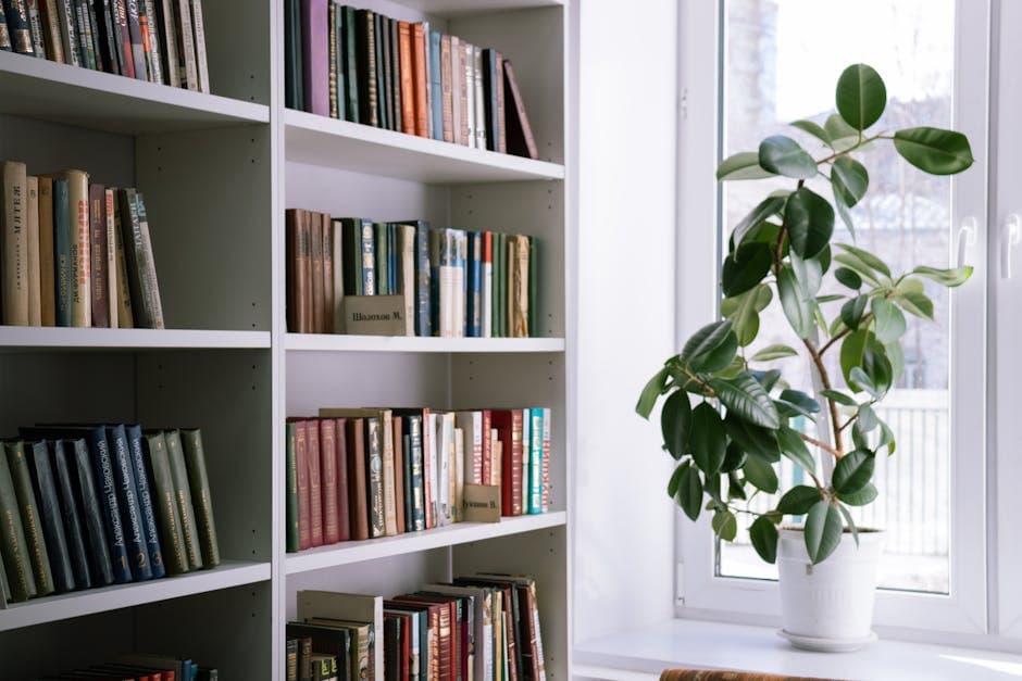 Проветривайте книги