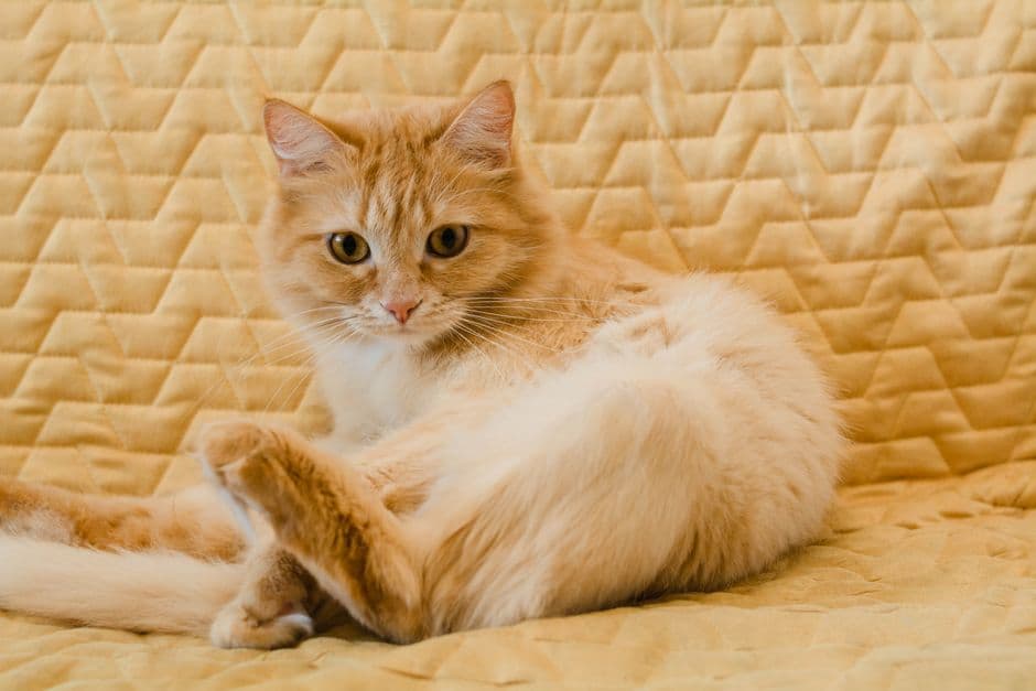 Регулярно увлажняйте кожу