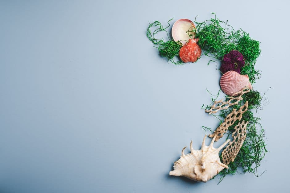 Нарежьте кору на нужные кусочки