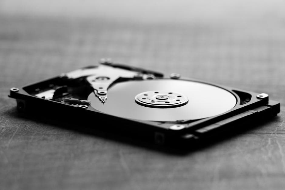 Установить и запустить программное обеспечение