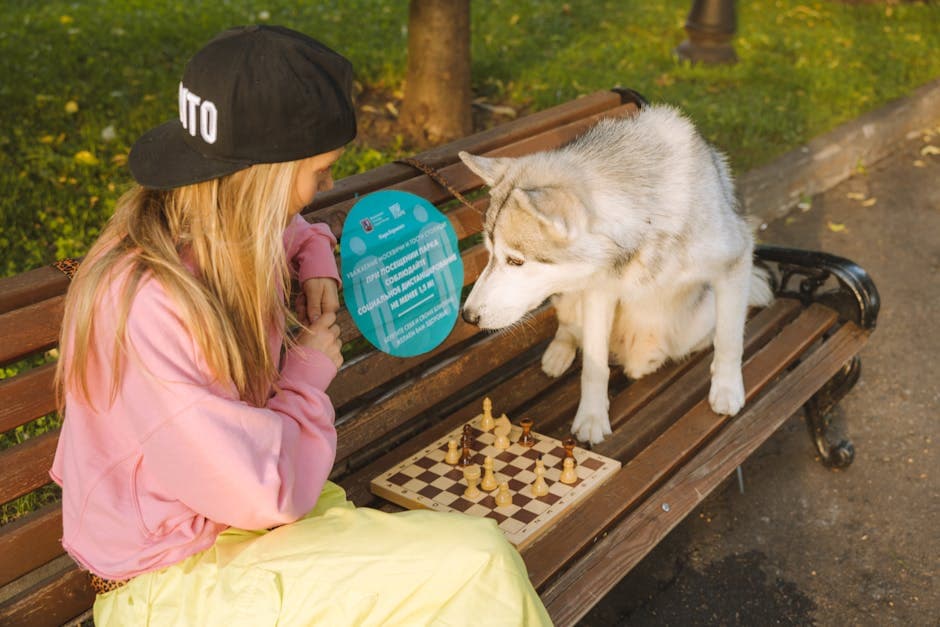 Постепенное завершение игр