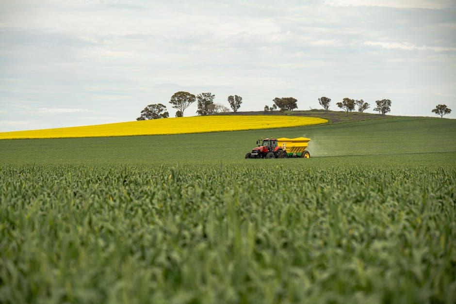 Следите за растениями