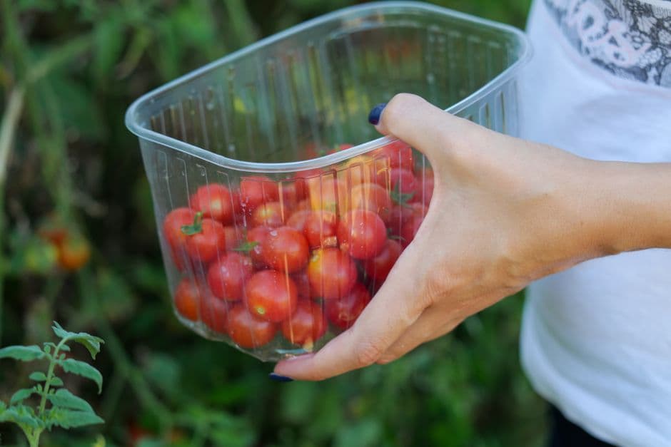 Choose the Right Size Container