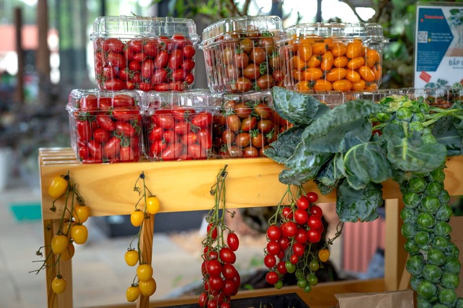 Select Suitable Varieties for Containers