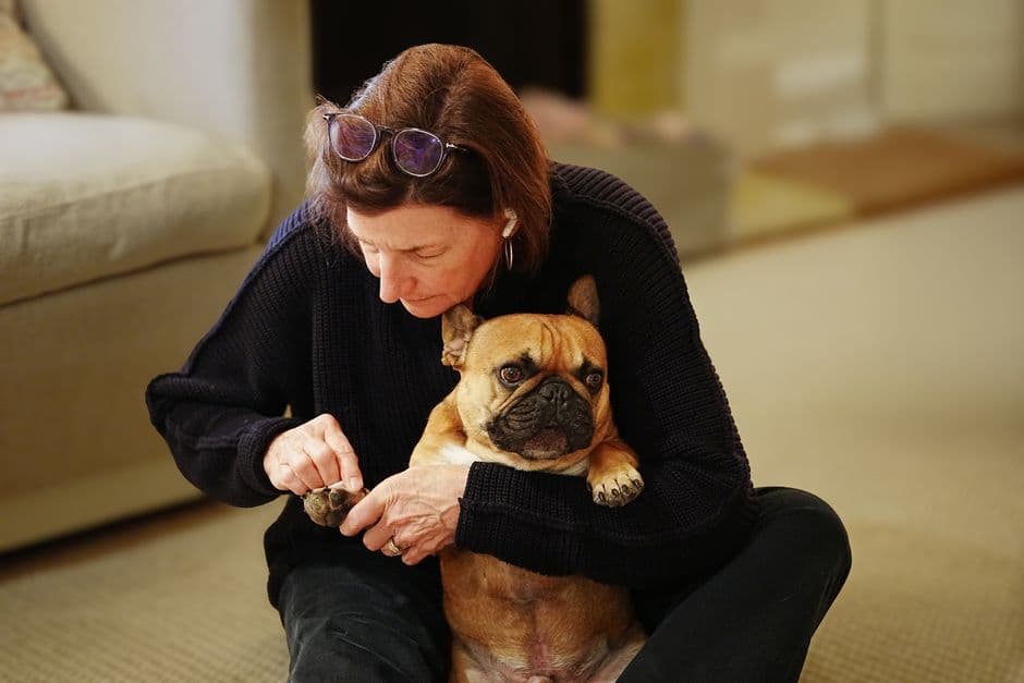 How to Trim Your Dog's Nails Safely