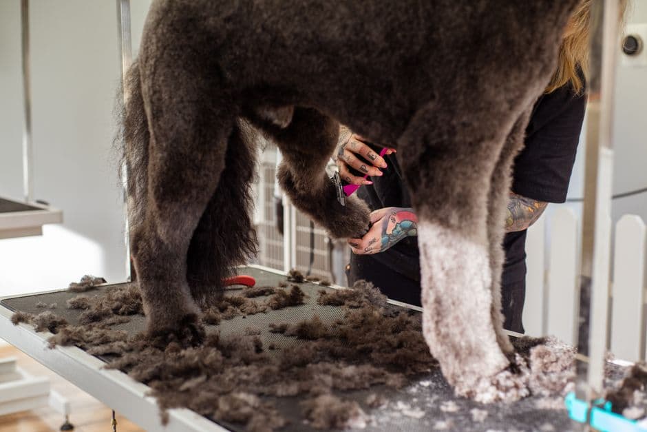 Trim the Nails