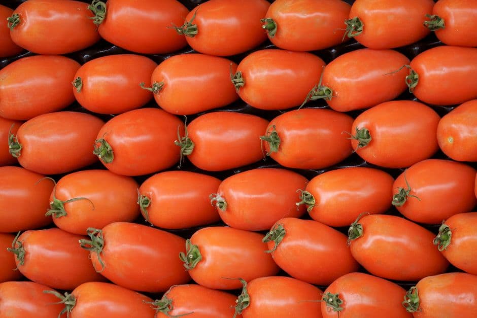 Choose Quality Tomatoes