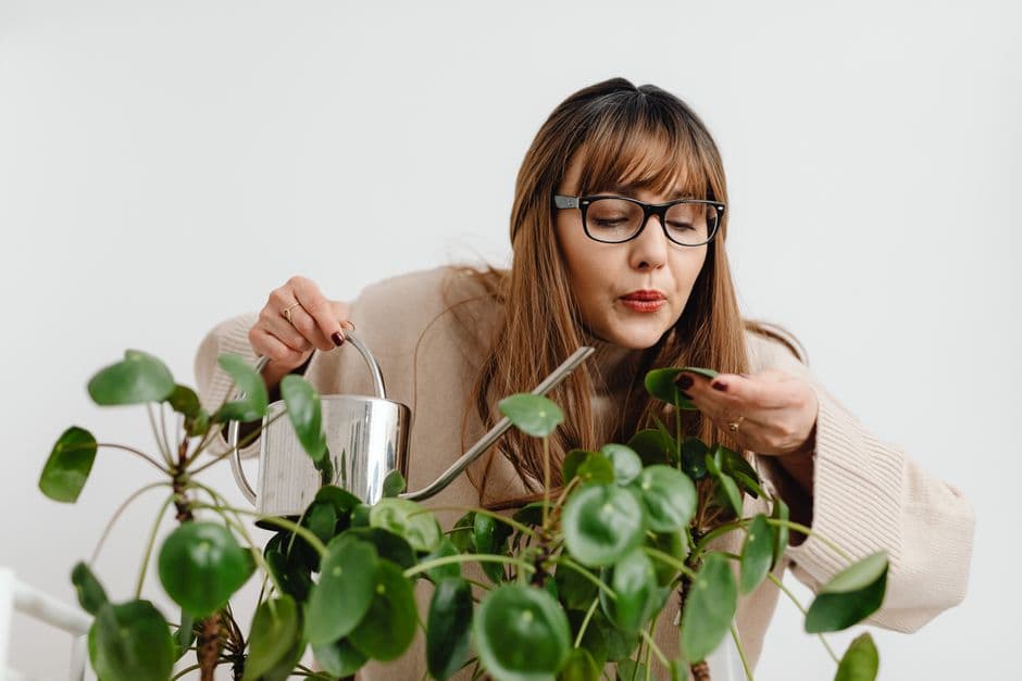 Demonstrate Watering Techniques