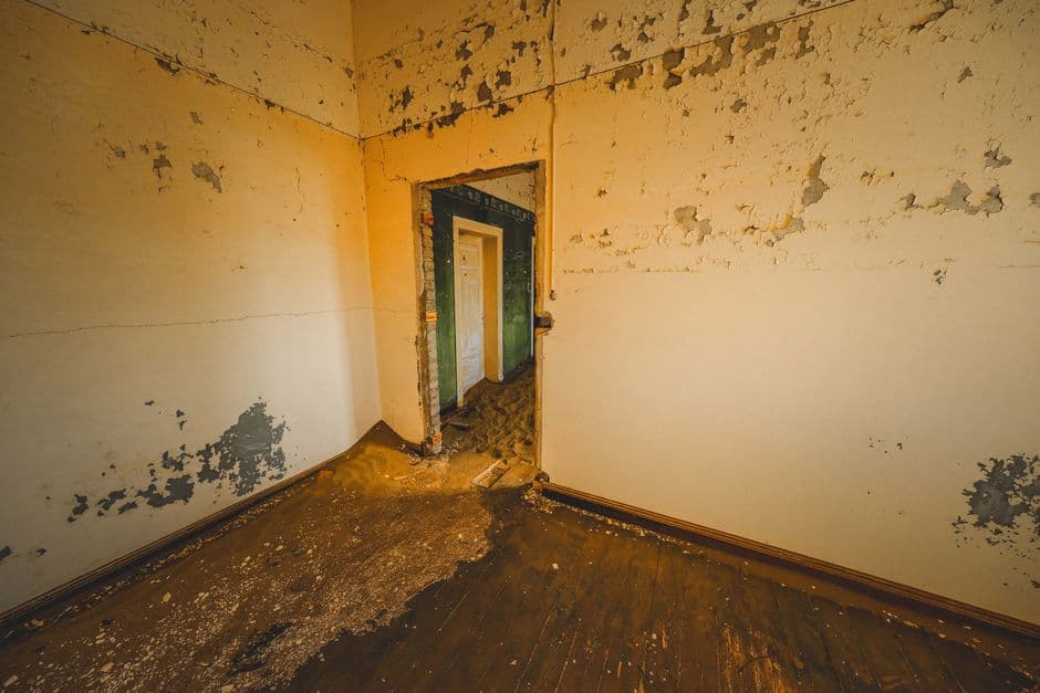 Consider Professional Help for Extensive Mold