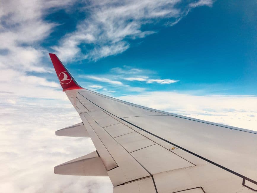 Visit Airline Websites