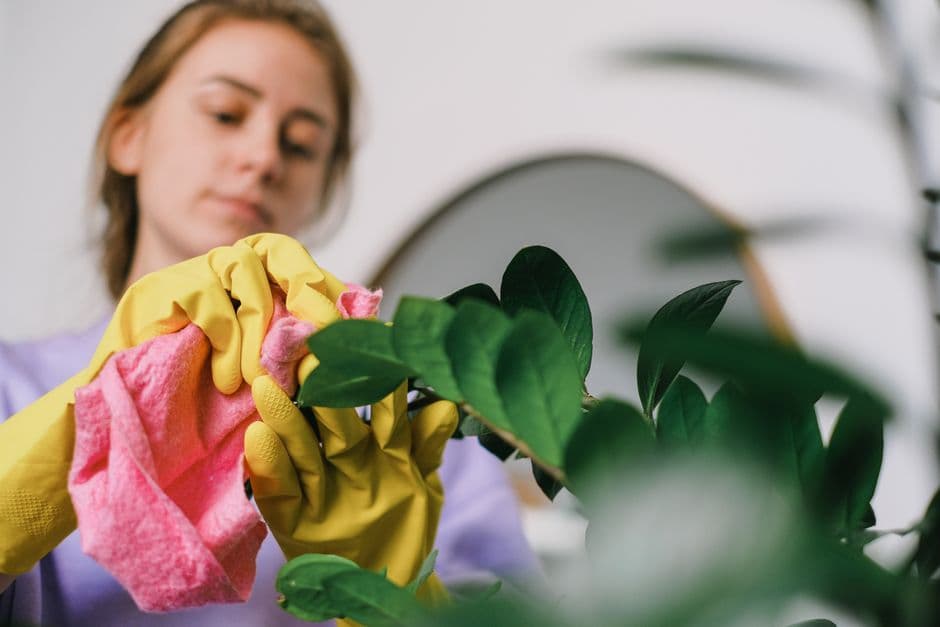 Keep Leaves Clean