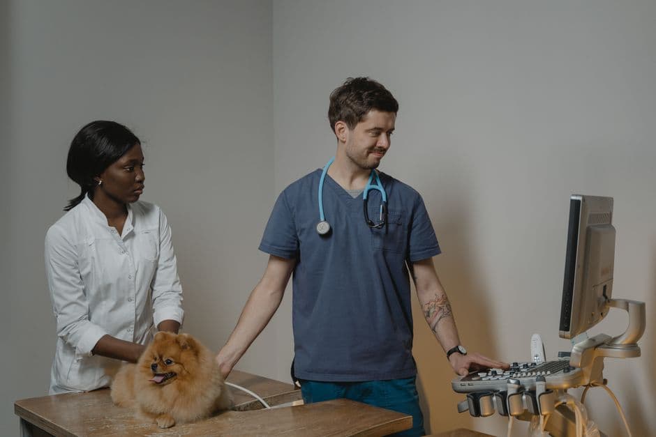 Identify Unique Health Considerations