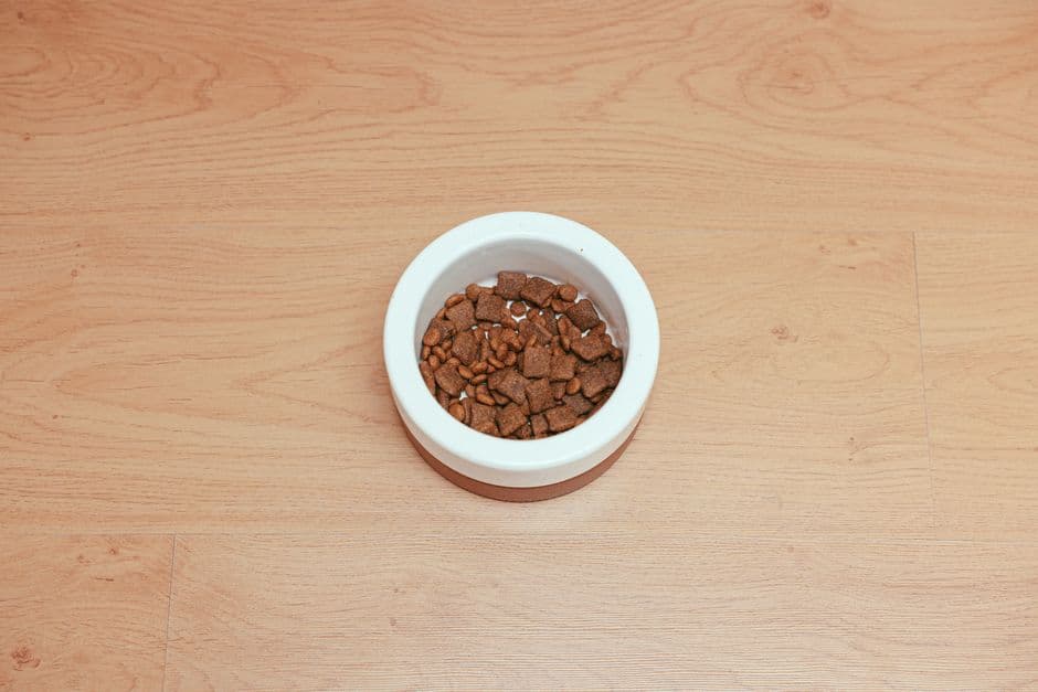 Check for Special Diets (Grain-Free, etc.)