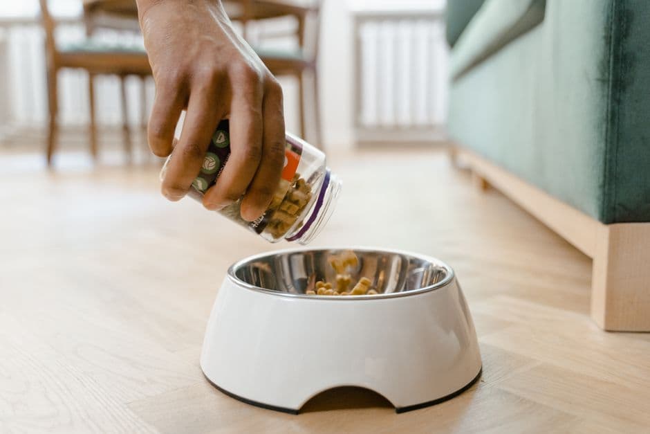 Measure Portions Correctly