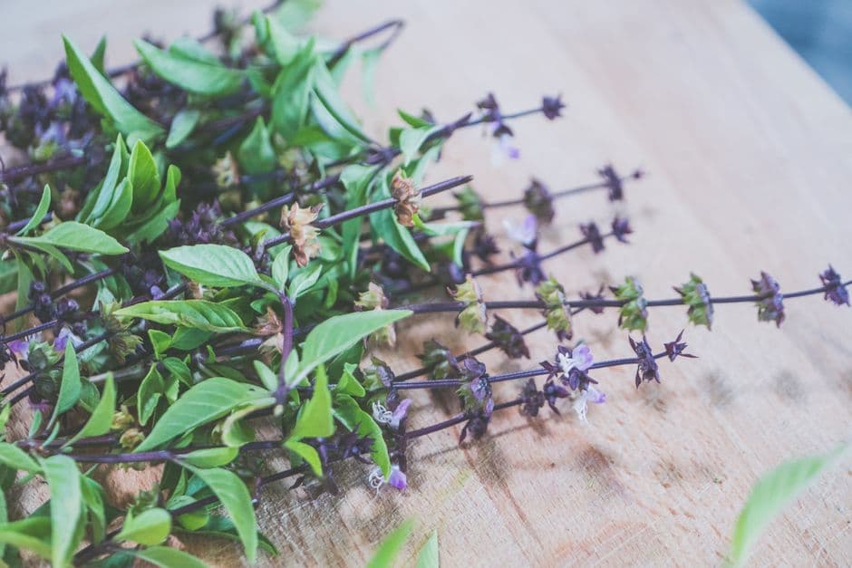 Tie and Hang Herbs