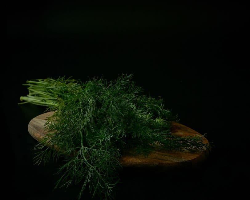Choose Suitable Herbs