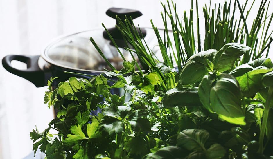 How to Grow Fresh Herbs on a Windowsill