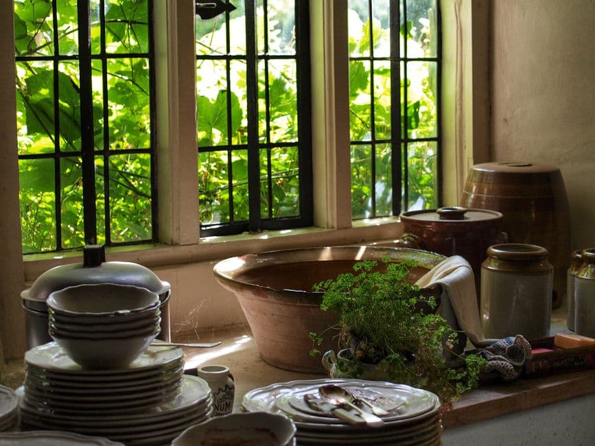 Assess Your Space and Light