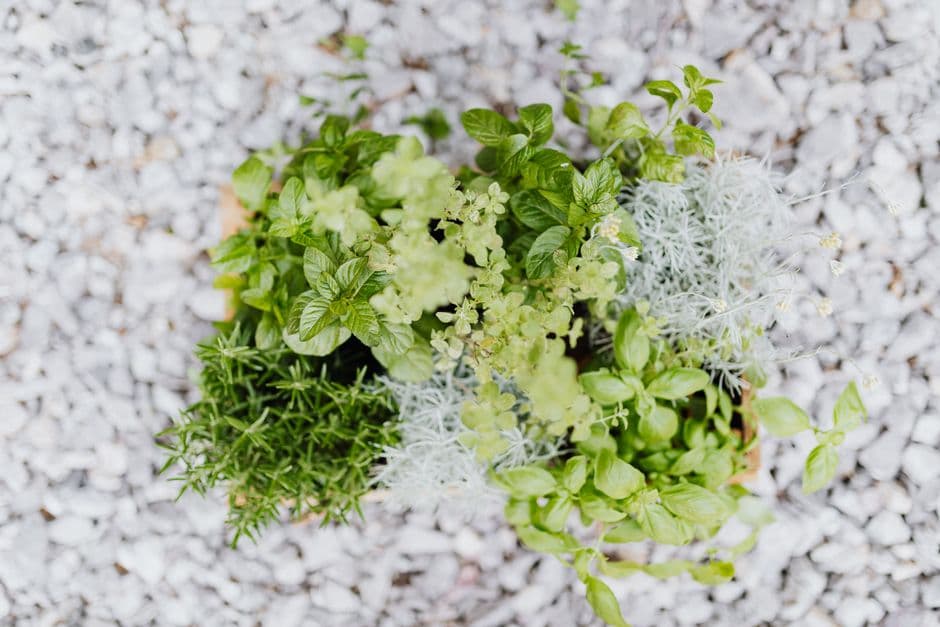 Choose the Right Containers