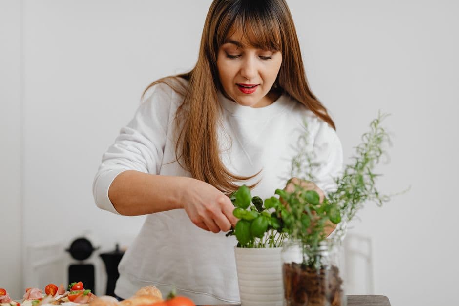 Fertilizing Your Herbs