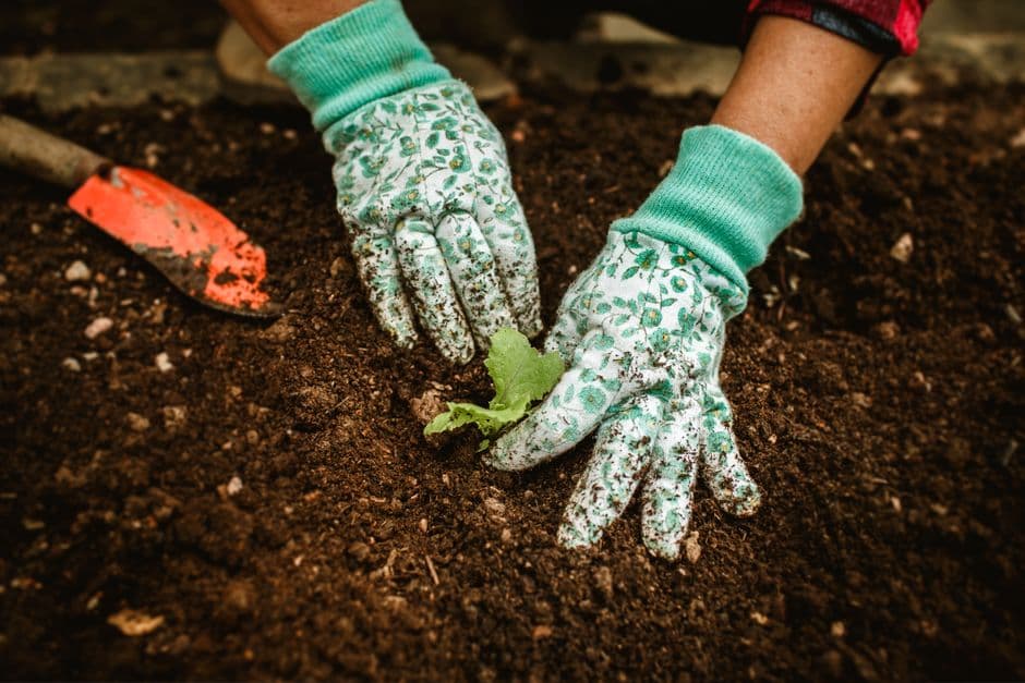 Amend Soil as Needed